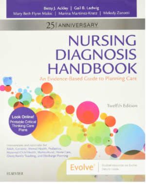 Nursing Diagnosis Handbook: An Evidence-Based Guide to Planning Care 12th Edition PDF