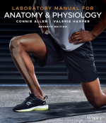 Laboratory Manual for Anatomy and Physiology 7th Edition PDF