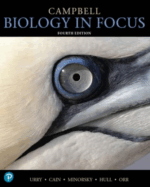 Campbell Biology in Focus 4th edition PDF