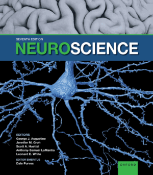 Neuroscience 7th Edition PDF