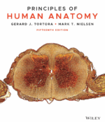 Principles of Human Anatomy 15th Edition PDF