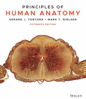 Principles of Human Anatomy 15th Edition PDF