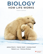 Biology How Life Works 4th Edition PDF
