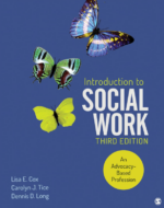 Introduction to Social Work 3rd Edition PDF