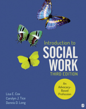 Introduction to Social Work 3rd Edition PDF