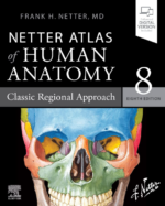 Netter Atlas of Human Anatomy 8th Edition PDF